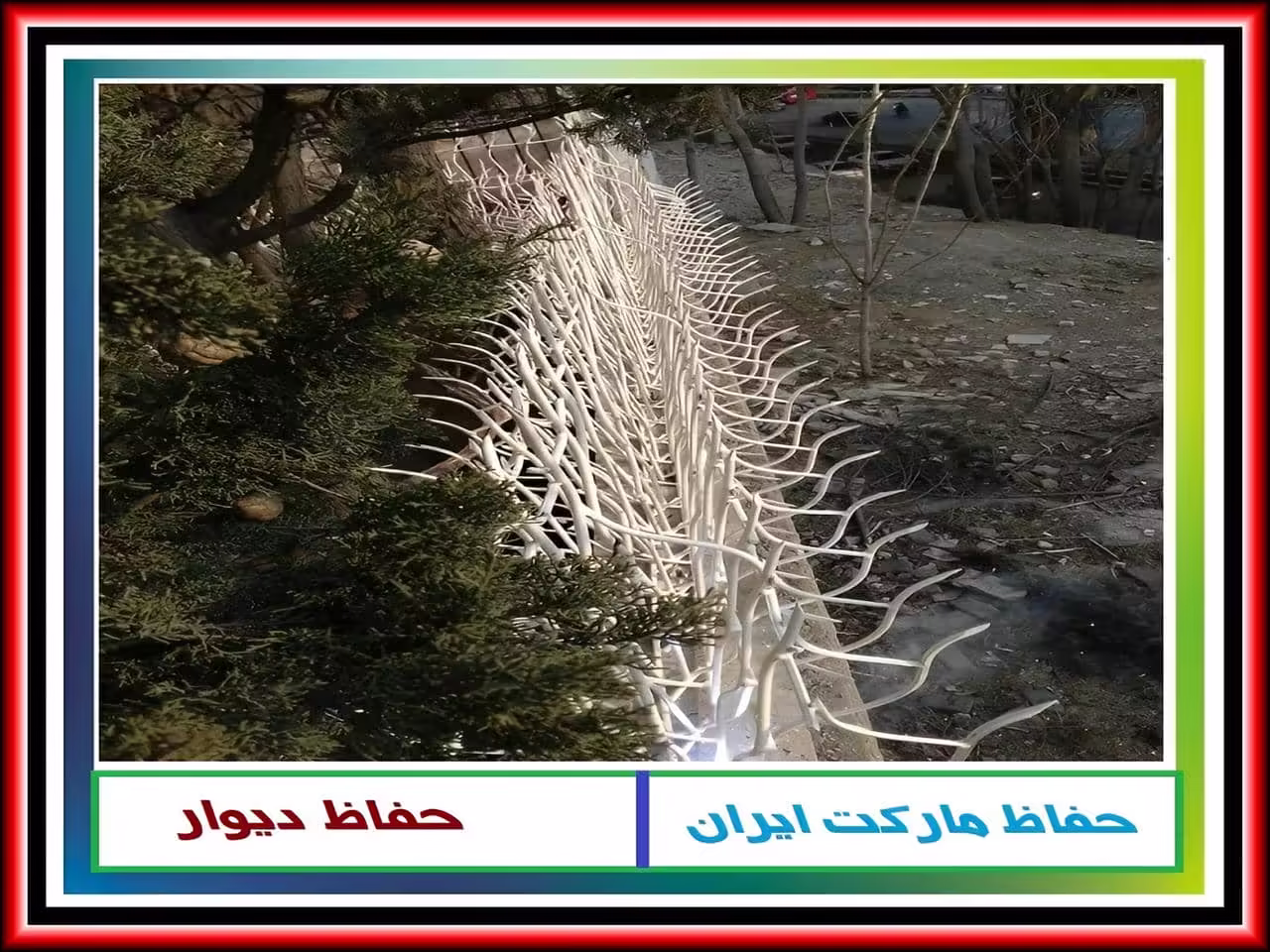 از کجا می توان حفاظ شاخ گوزنی آهنی خریداری کرد؟