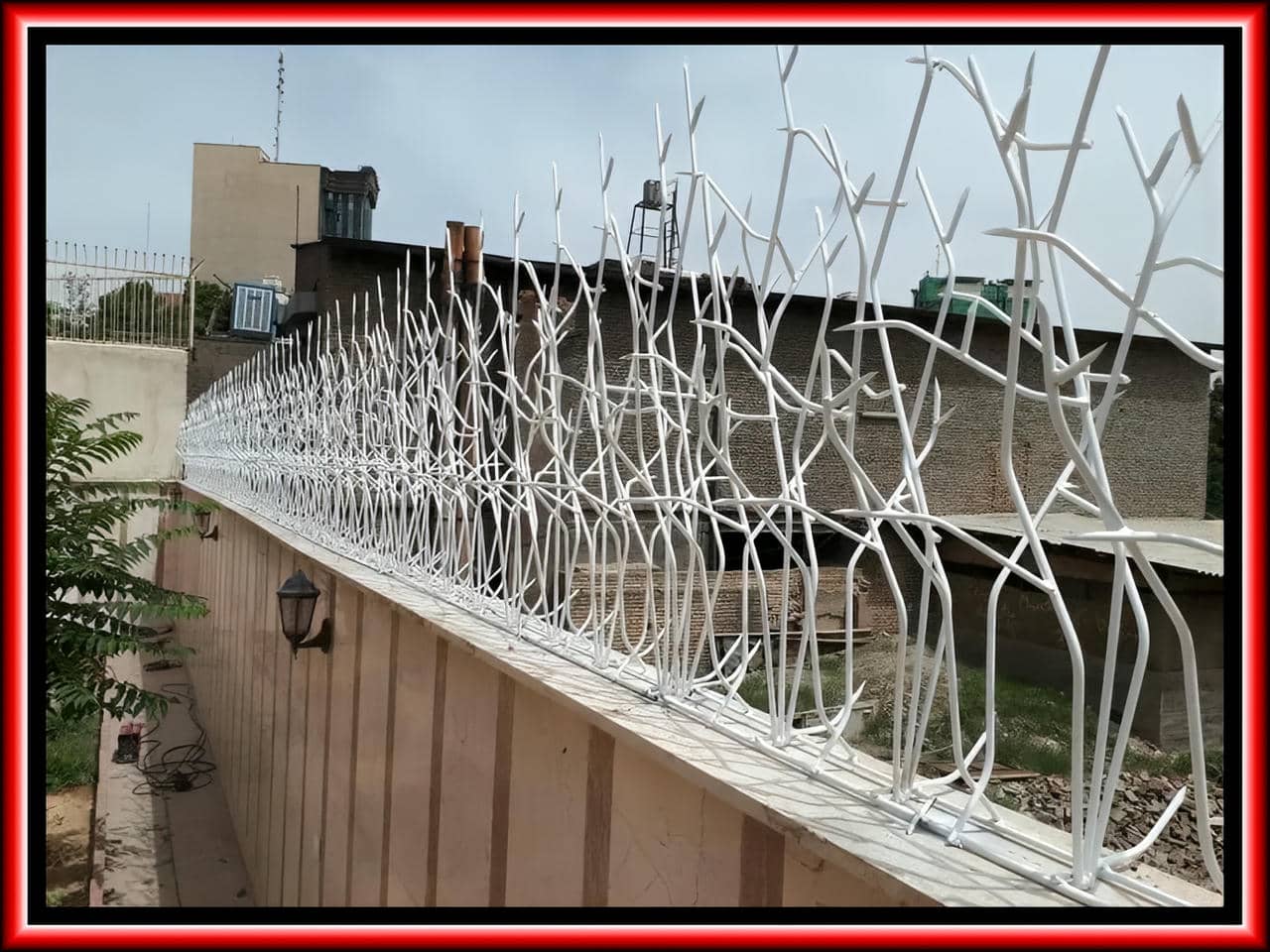 حفاظ بوته ای