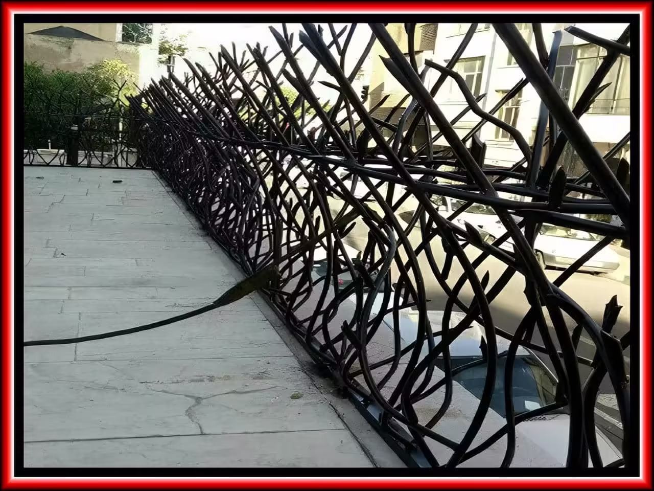 نصب حفاظ شاخ گوزنی