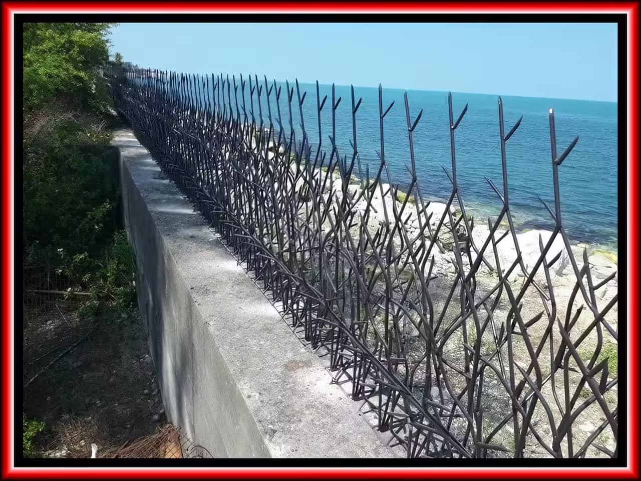 خرید حفاظ شاخ گوزنی