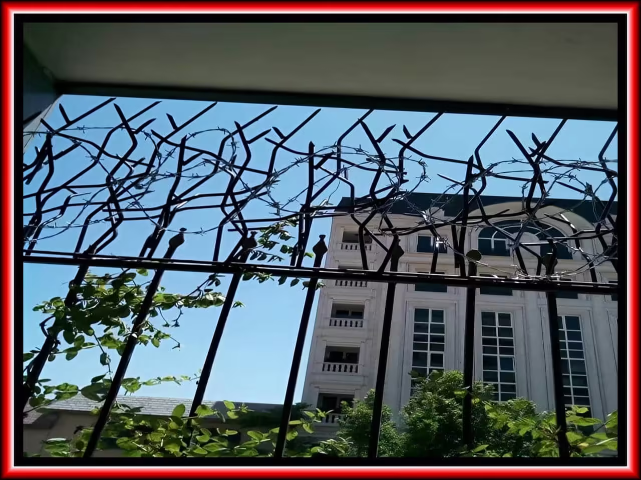 تراکم حفاظ شاخ گوزنی