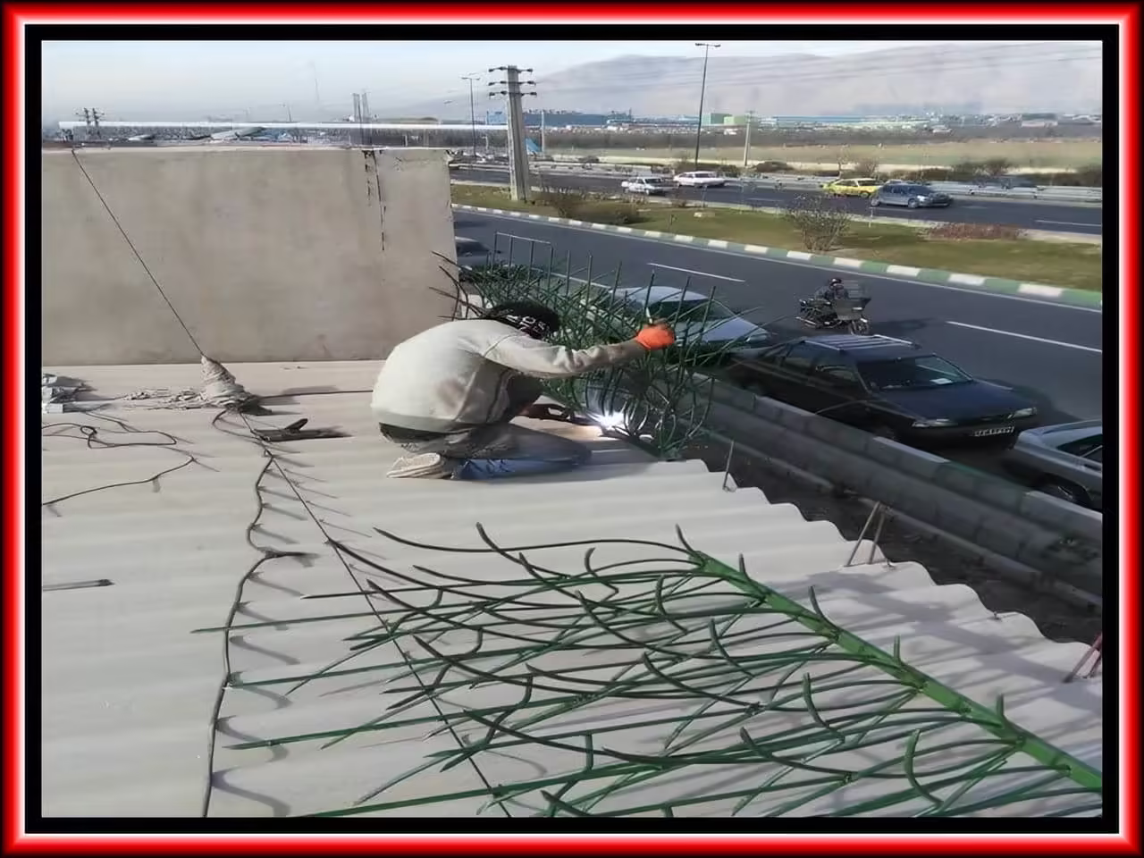 قیمت حفاظ نیزار