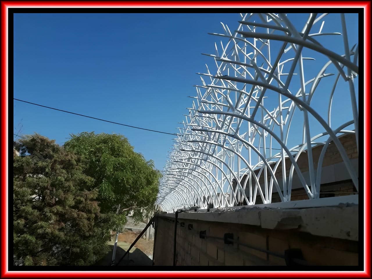 خرید حفاظ نیزاری
