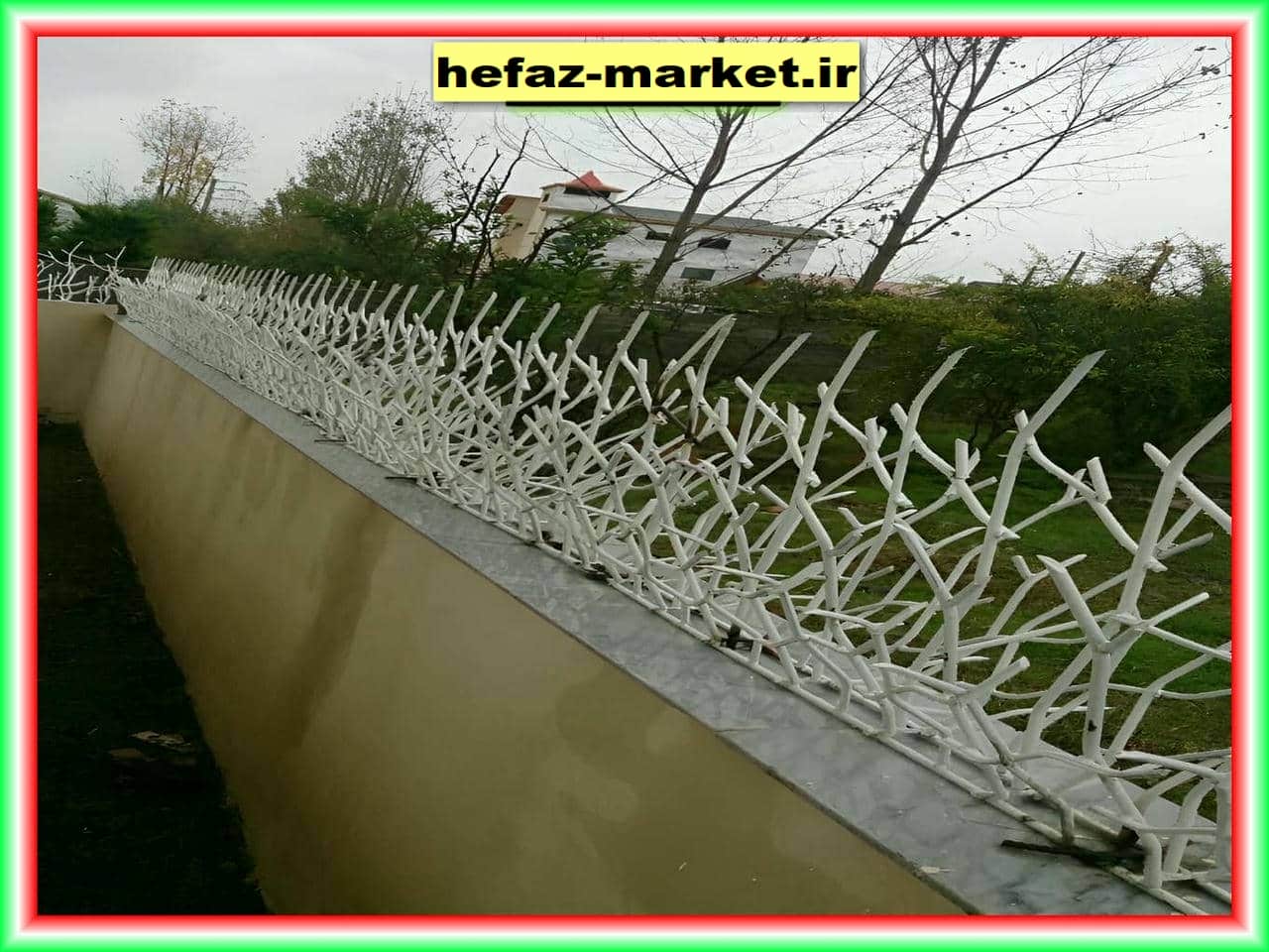 راهنمای انتخاب و خرید حفاظ شاخ گوزنی