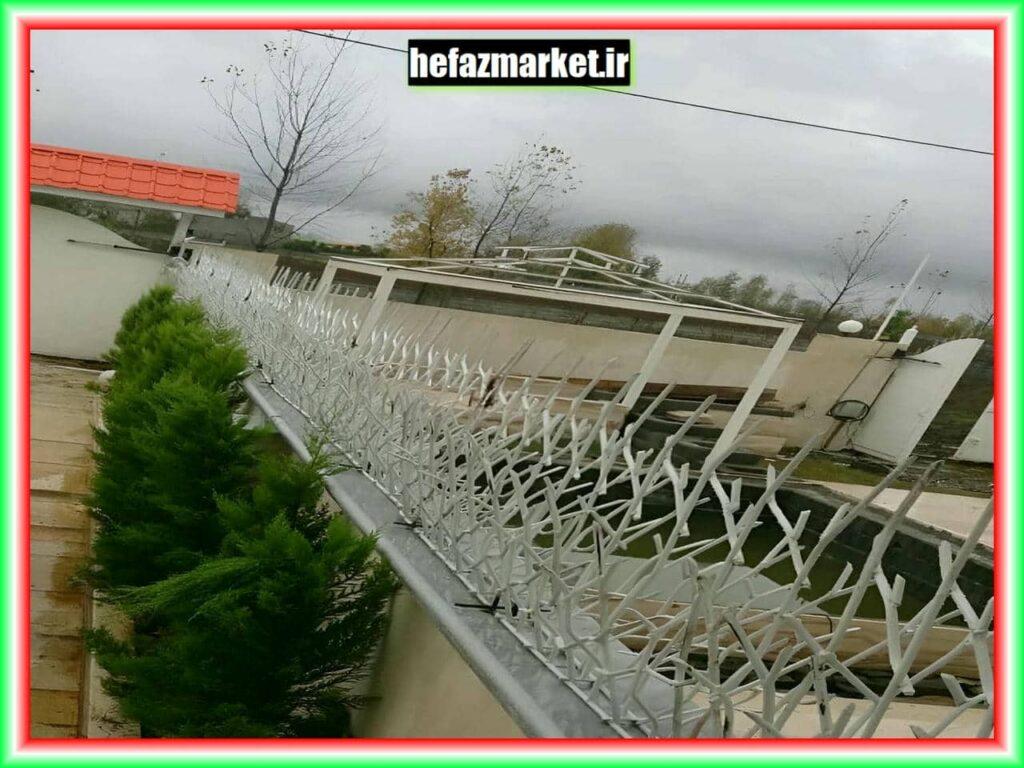 مزایای حفاظ شاخ گوزنی