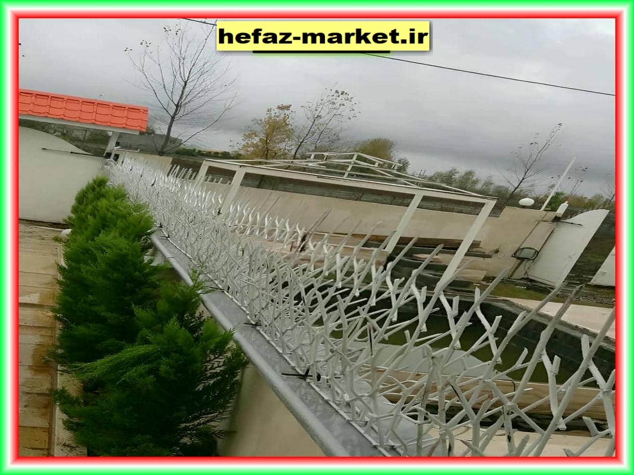 مزایای حفاظ شاخ گوزنی