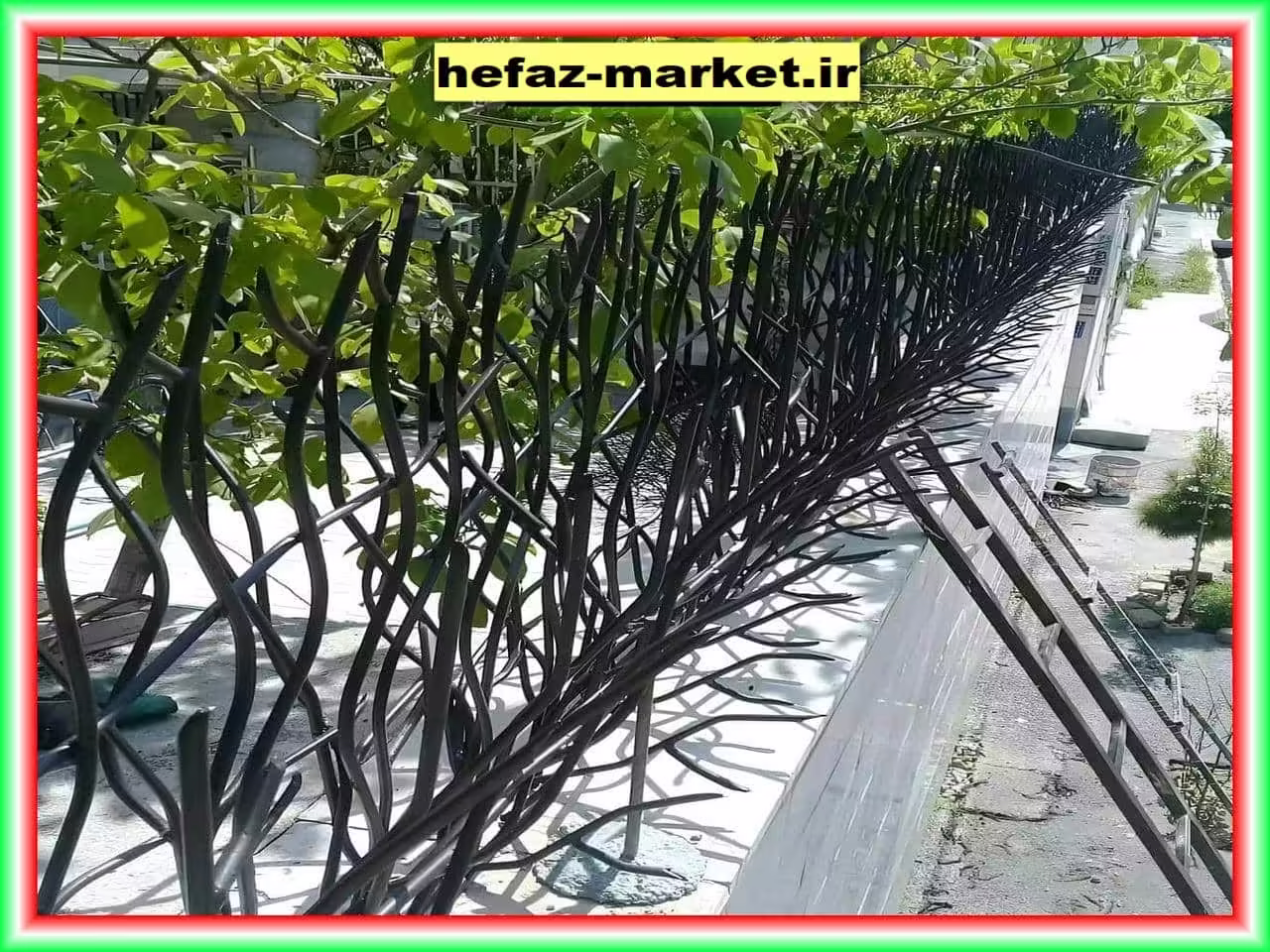 حفاظ شاخ گوزنی