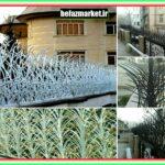 خرید حفاظ شاخ گوزنی ارزان و باکیفیت