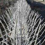 حفاظ بوته ای