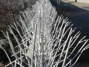 حفاظ بوته ای