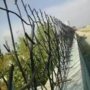 حفاظ شاخ گوزنی تراکم ۳۴ حفاظ شاخ گوزنی تراکم ۳۴