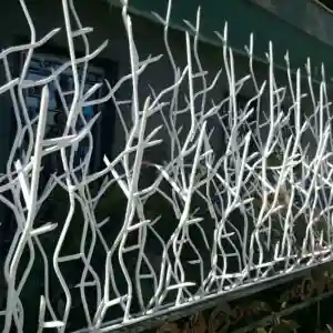 خرید و تولید حفاظ شاخ گوزنی خرید و تولید حفاظ شاخ گوزنی