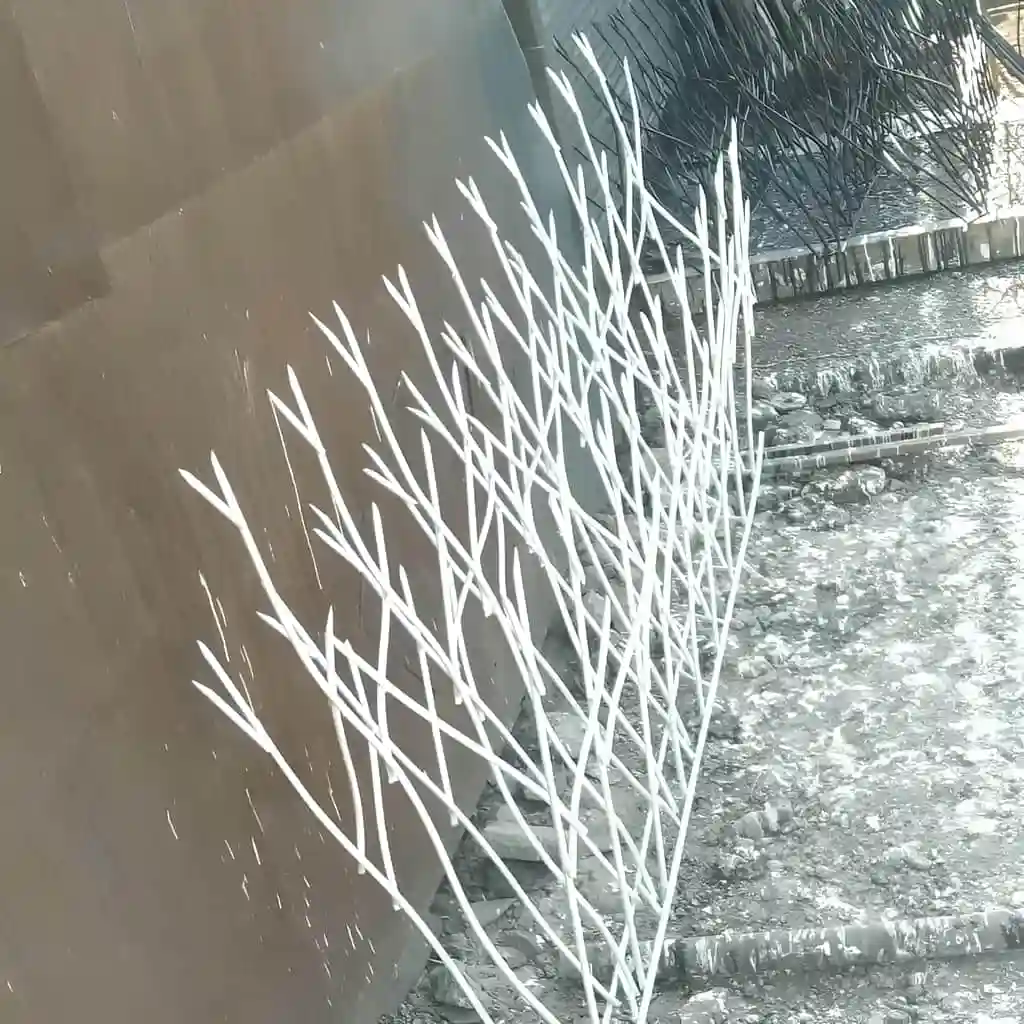 حفاظ شاخ گوزنی تراکم ۳۴ روی دیوار سیمانی و سنگی