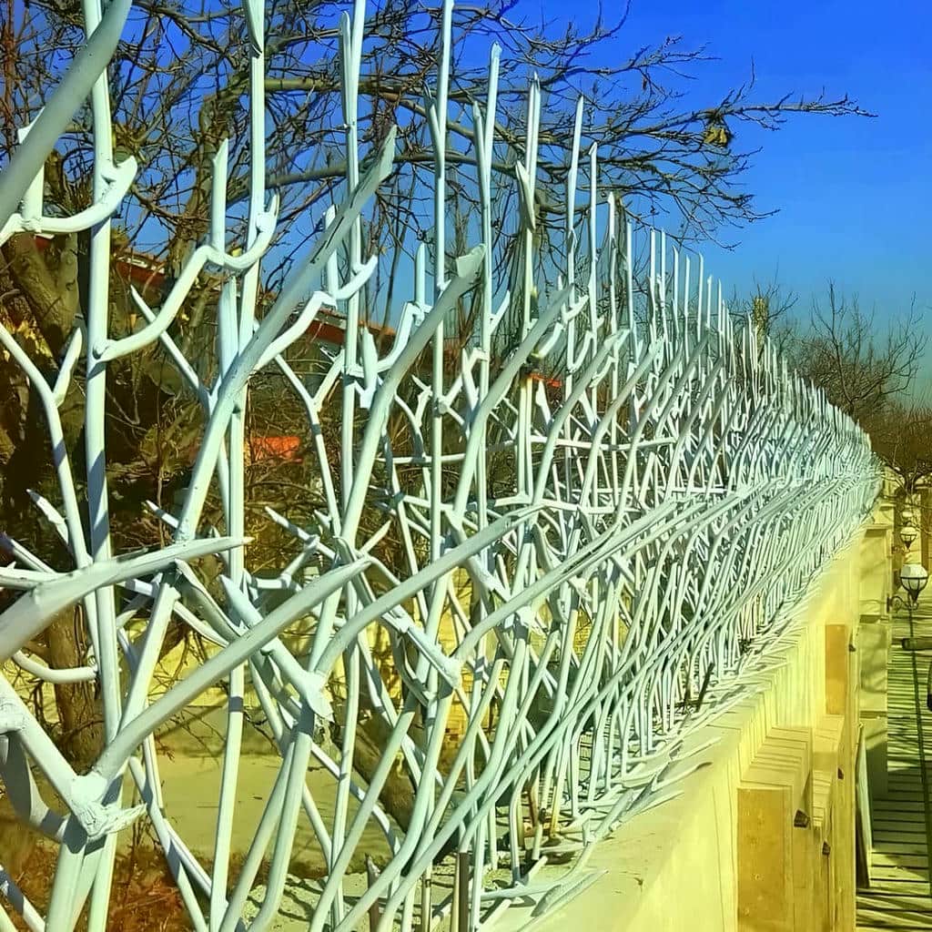حفاظ شاخ گوزنی دیوار در آبادان