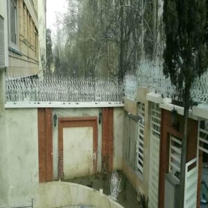 حفاظ شاخ گوزنی دیوار در نسیم شهر