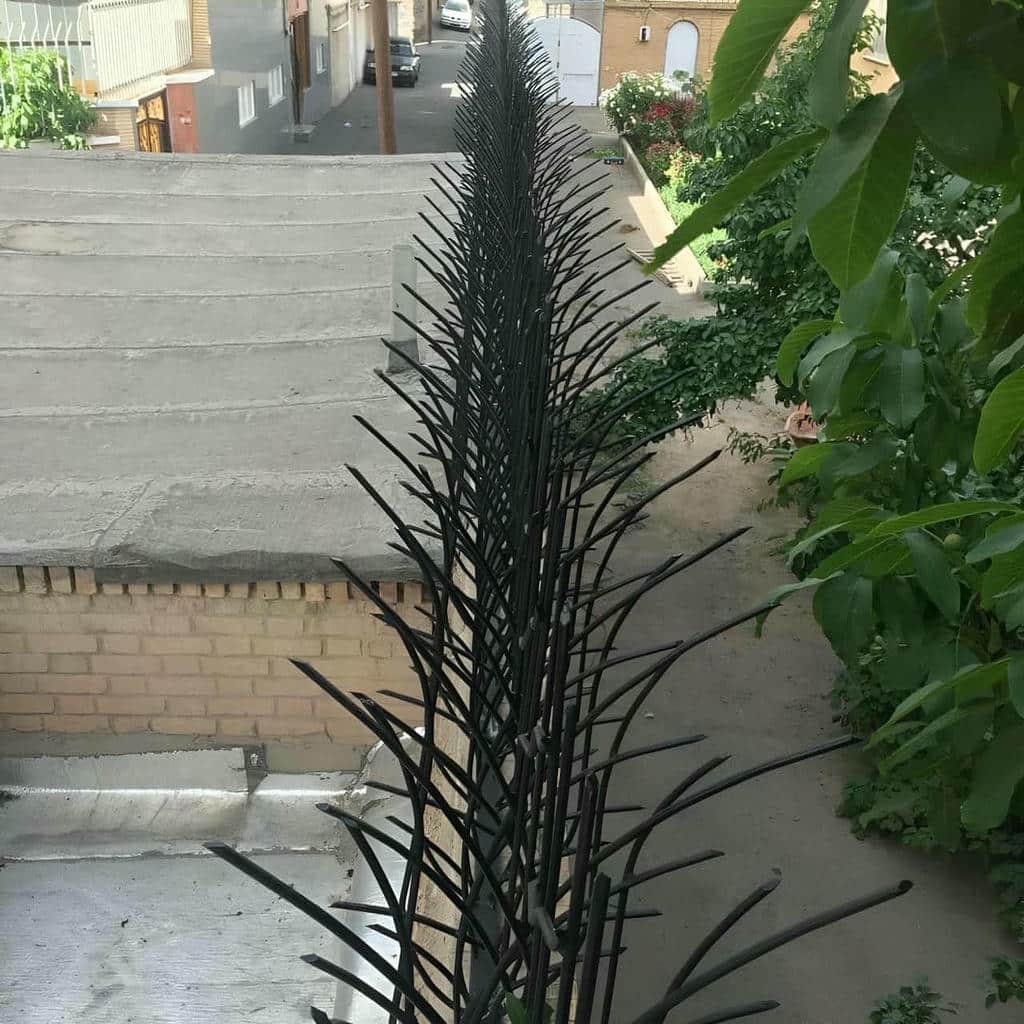 قیمت حفاظ شاخ گوزنی دیوار رنگ کوره ای در نیشابور