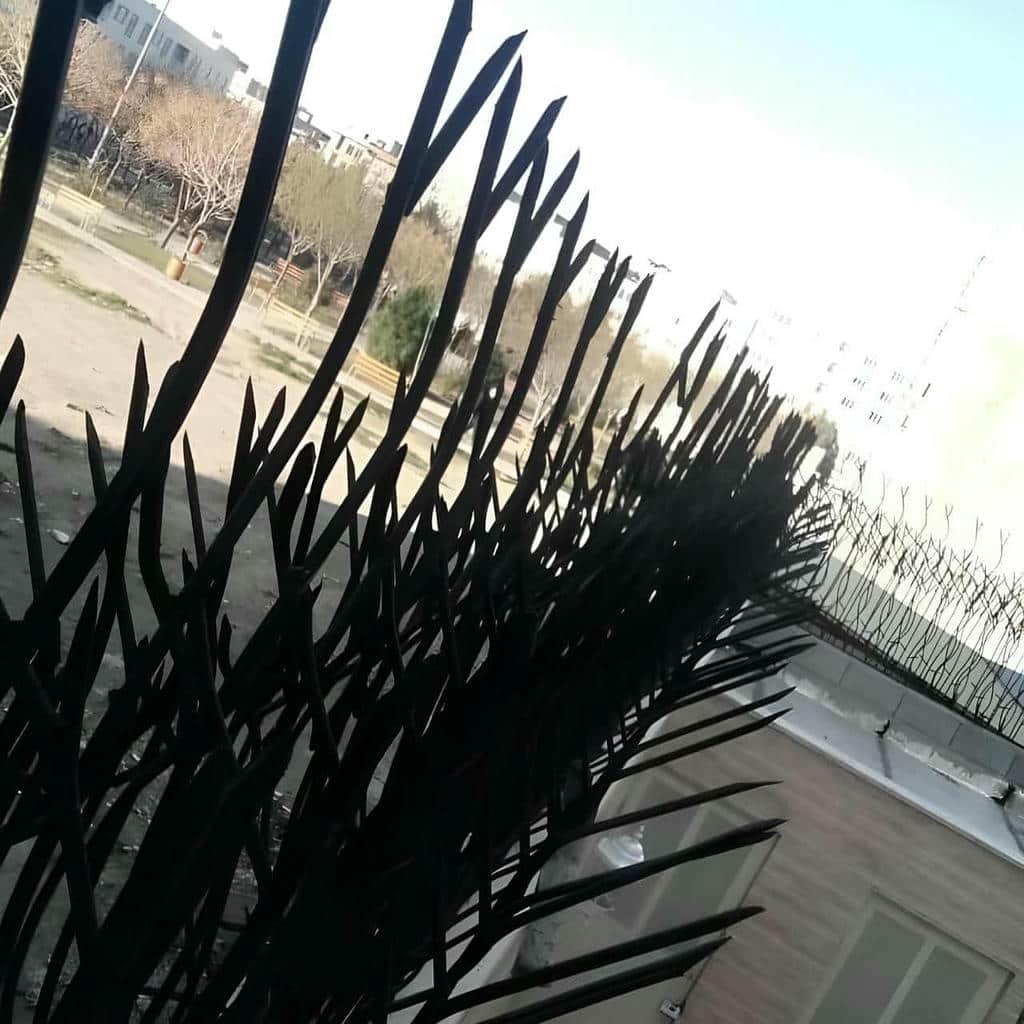 خرید حفاظ شاخ گوزنی دیوار کلاسیک در بیرجند