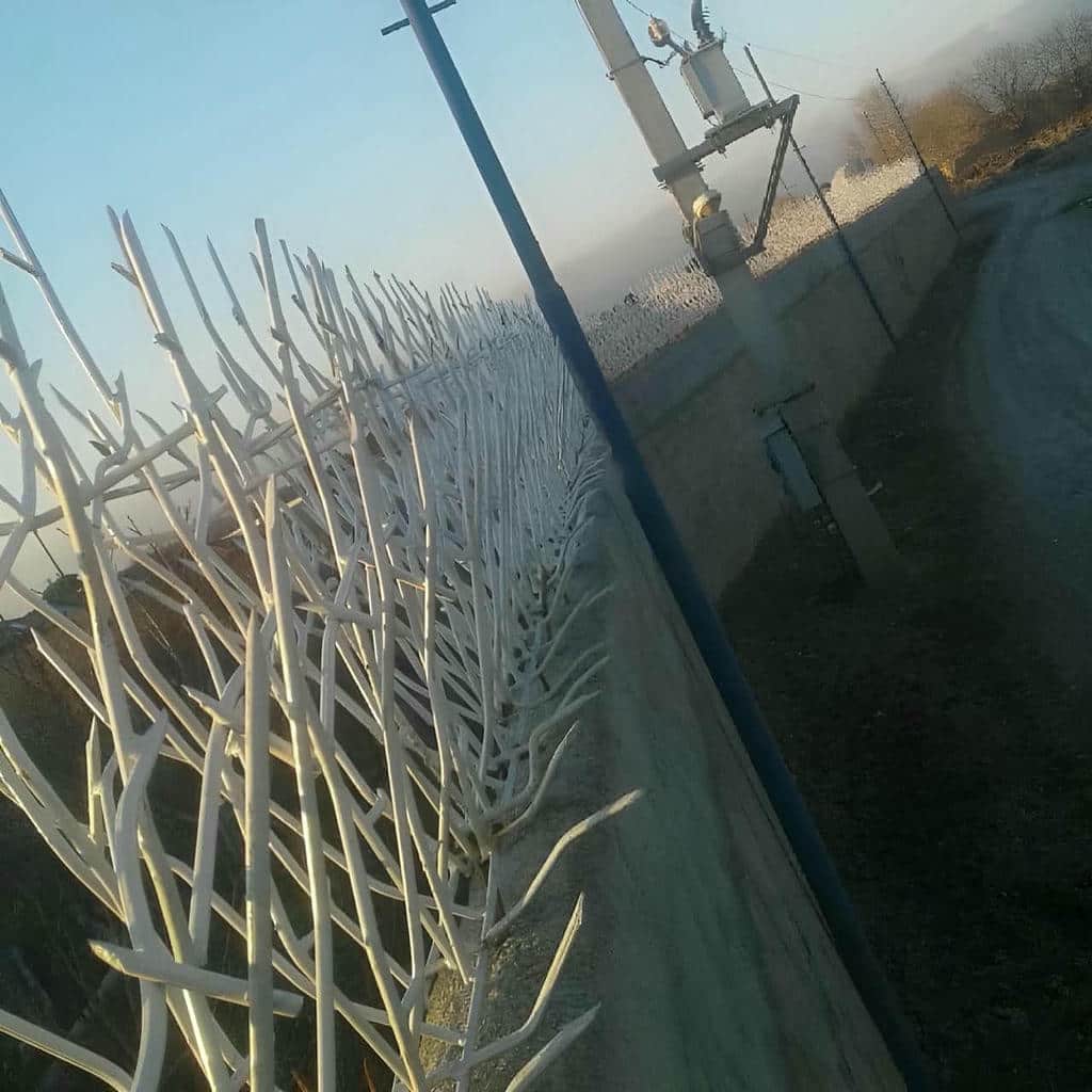 کارخانه حفاظ شاخ گوزنی دیوار سفارشی در اراک