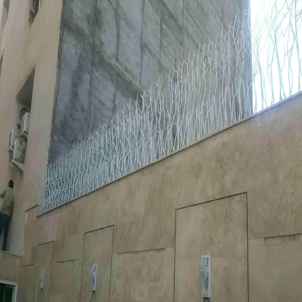 نصب حفاظ شاخ گوزنی دیوار استاندارد در بیرجند