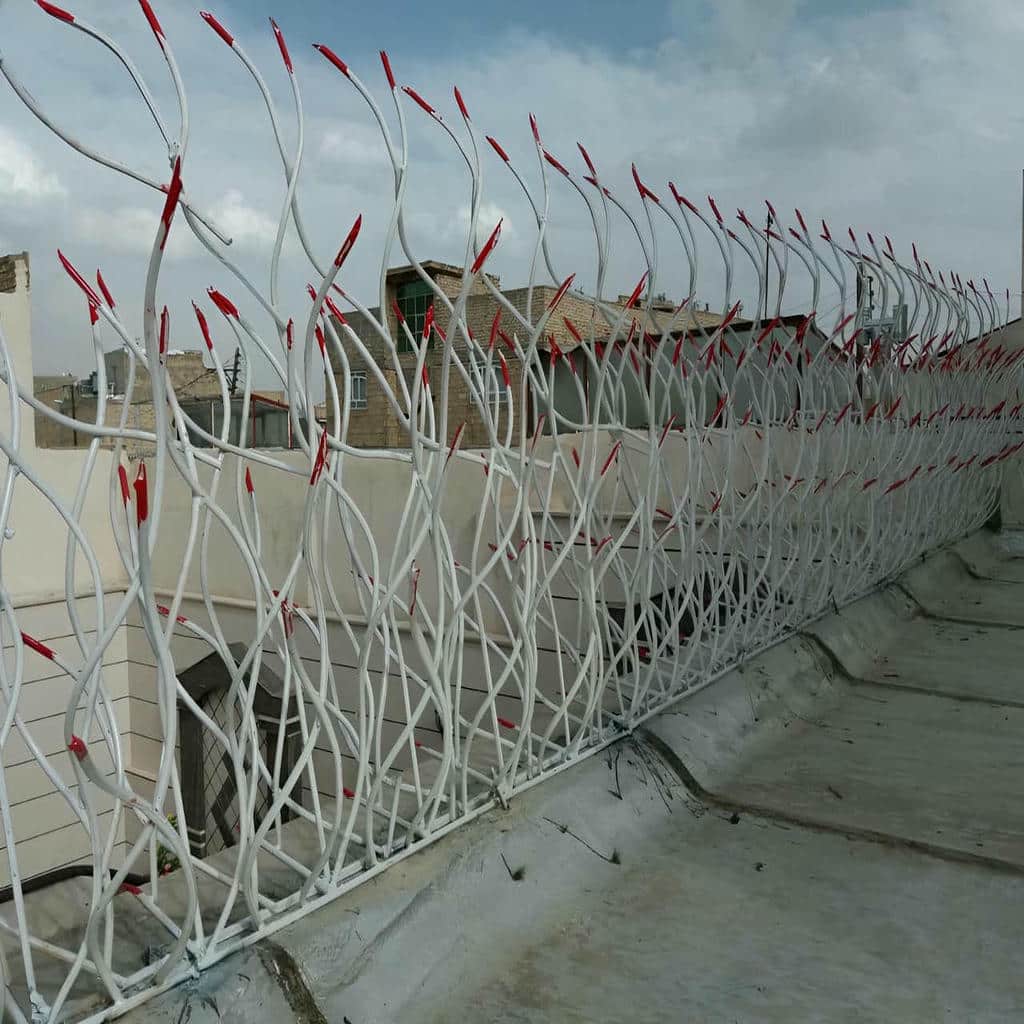 کارخانه حفاظ شاخ گوزنی دیوار سفارشی در بیرجند