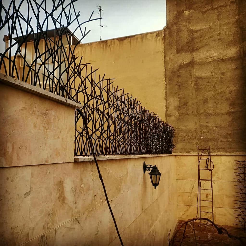 خرید حفاظ شاخ گوزنی دیوار مسکونی در تبریز خرید حفاظ شاخ گوزنی دیوار مسکونی در تبریز
