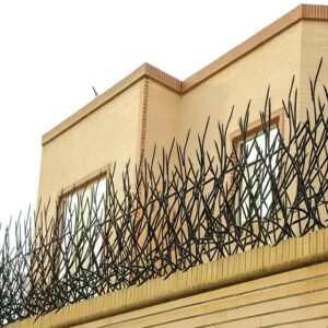 حفاظ شاخ گوزنی دیوار در سنندج