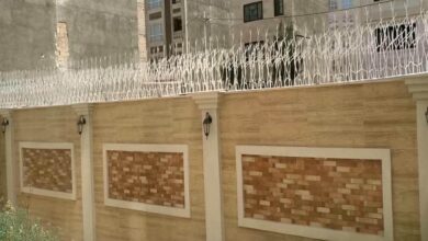 حفاظ شاخ گوزنی دیوار در طالقان