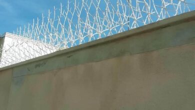 حفاظ شاخ گوزنی دیوار در کمال شهر