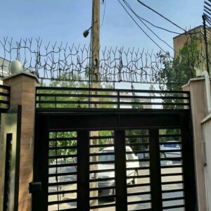 حفاظ شاخ گوزنی دیوار در فردیس کرج