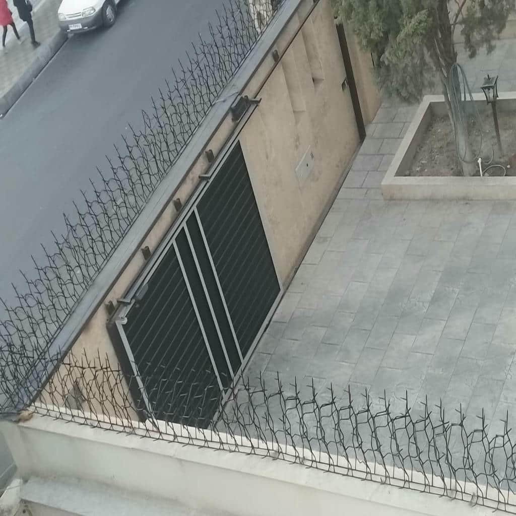 کارخانه حفاظ شاخ گوزنی دیوار سفارشی در نیشابور