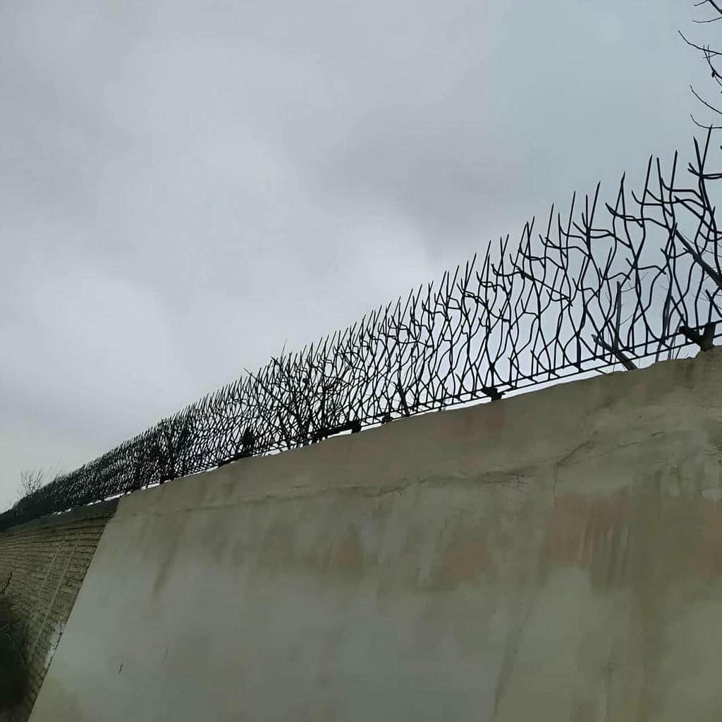 خرید حفاظ شاخ گوزنی دیوار کلاسیک در گرگان