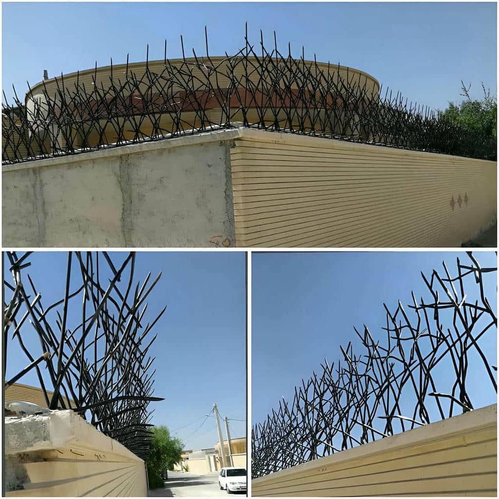 خرید حفاظ شاخ گوزنی دیوار ویلایی در تهران خرید حفاظ شاخ گوزنی دیوار ویلایی در تهران