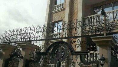 حفاظ شاخ گوزنی دیوار در عظیمیه کرج