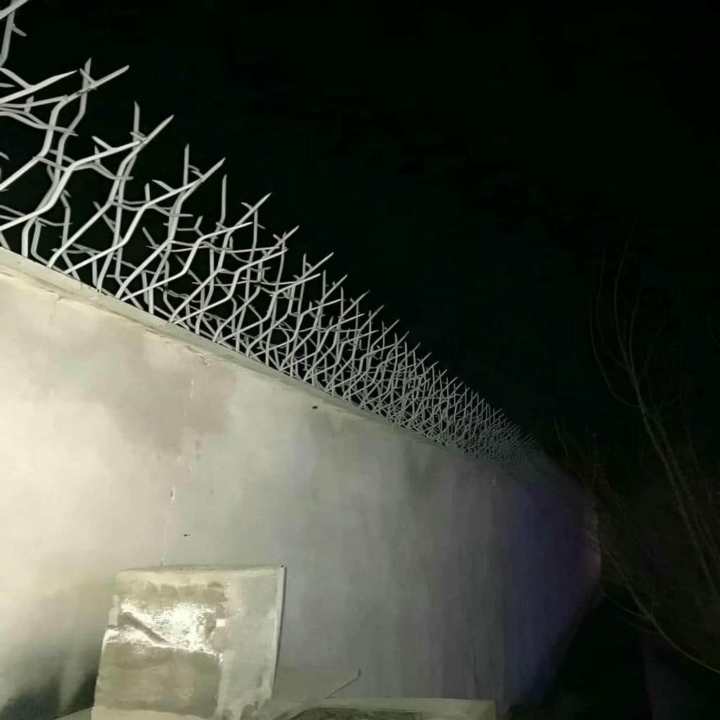 کارخانه حفاظ شاخ گوزنی دیوار سفارشی در کردان