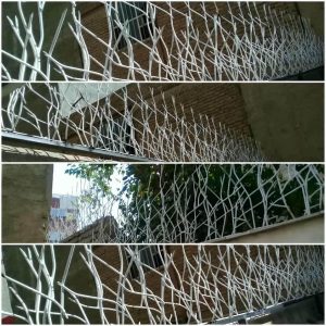 حفاظ شاخ گوزنی دیوار در نوشهر