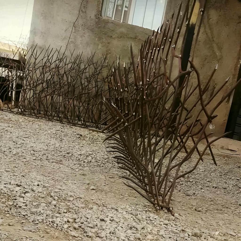 کارخانه حفاظ شاخ گوزنی دیوار سفارشی در همدان