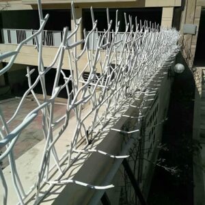 حفاظ شاخ گوزنی دیوار در قشم