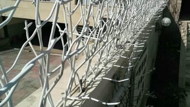 حفاظ شاخ گوزنی دیوار در قشم