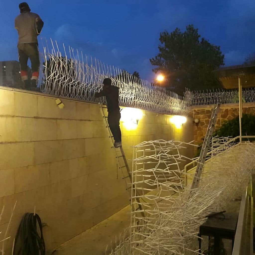 نصب حفاظ شاخ گوزنی دیوار استاندارد در تهران
