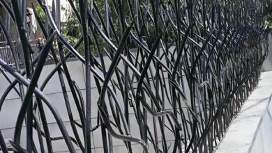 حفاظ شاخ گوزنی دیوار در محمدشهر