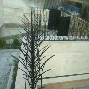 حفاظ شاخ گوزنی دیوار در سیرجان