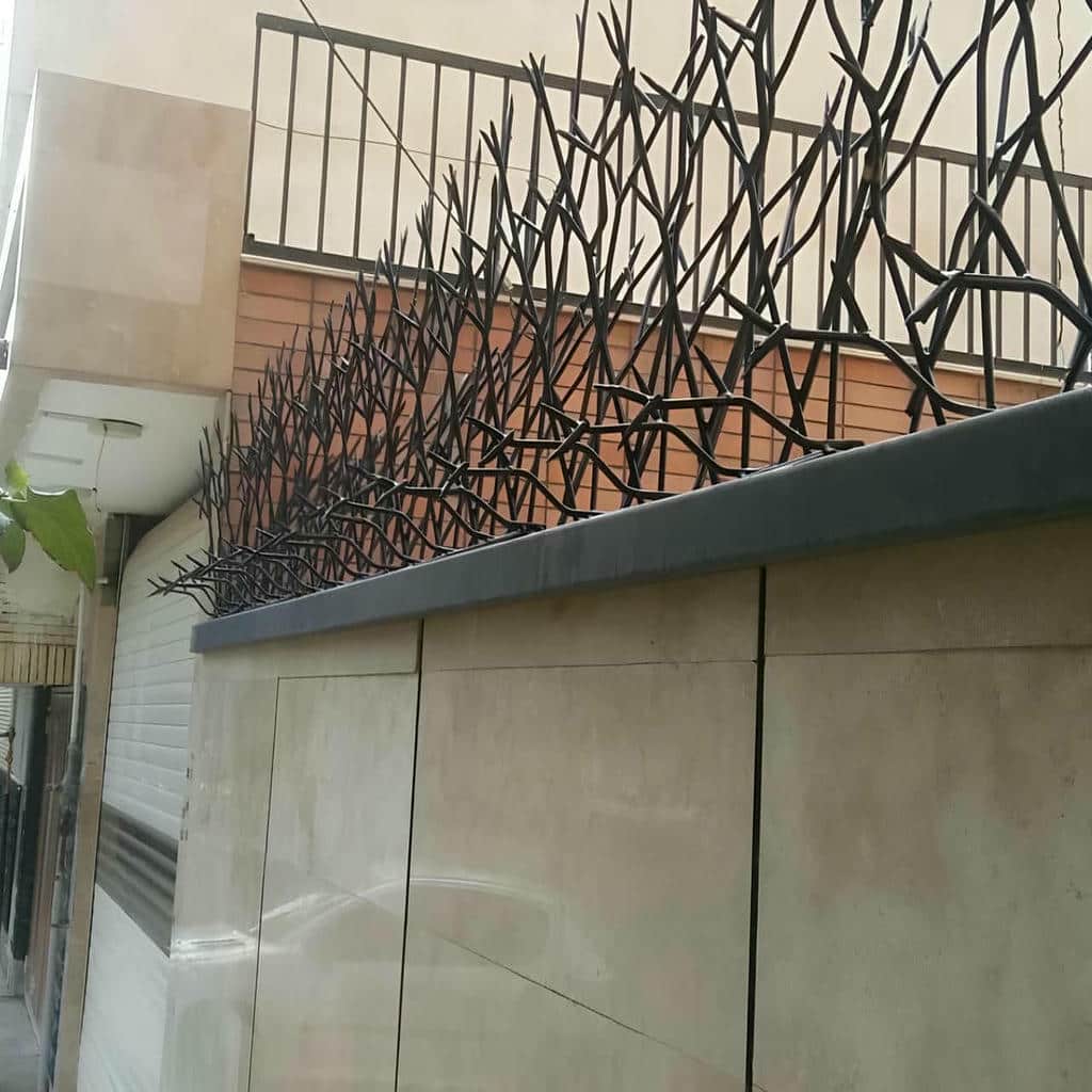 قیمت حفاظ شاخ گوزنی دیوار مدرن در دماوند