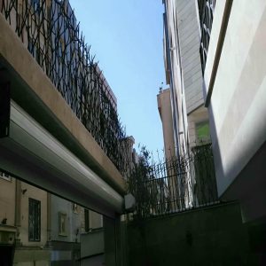 حفاظ شاخ گوزنی دیوار در یزد