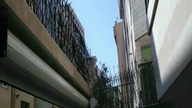 حفاظ شاخ گوزنی دیوار در یزد