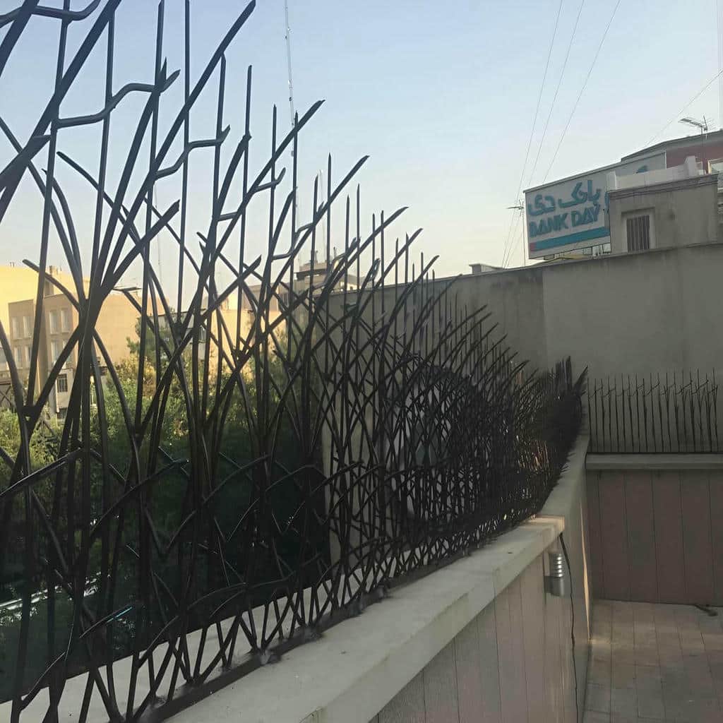 حفاظ شاخ گوزنی دیوار در تهران