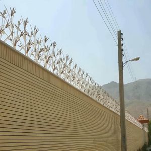 حفاظ شاخ گوزنی دیوار در استان مازندران