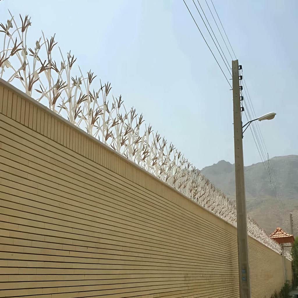 حفاظ شاخ گوزنی دیوار در استان مازندران