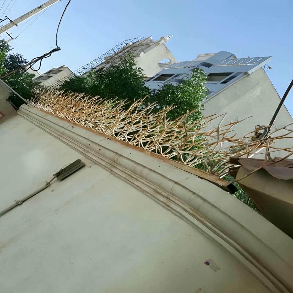 نصب حفاظ شاخ گوزنی دیوار استاندارد در کرج