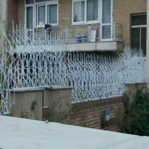 حفاظ شاخ گوزنی دیوار در فیروزکوه
