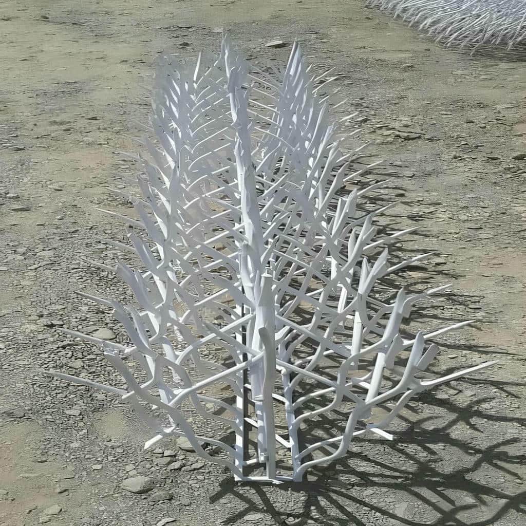 کارخانه حفاظ شاخ گوزنی دیوار سفارشی در آبسرد